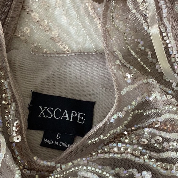 Xscape Evenings Long Chiffon Dress with Illusion Sequin Long Sleeves (Blush) - Picture 10 of 11